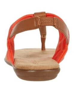 Aerosoles Sandals Women Cortland -AEROSOLES Sales 61KWNnopYGL. AC SR736920