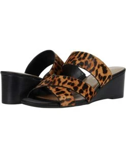 Aerosoles Heels Women Westfield -AEROSOLES Sales 71FUW9AmuXL. AC SR736920