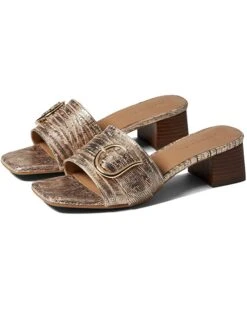 Aerosoles Heels Women Evvie -AEROSOLES Sales 71KZeI8R08L. AC SR736920